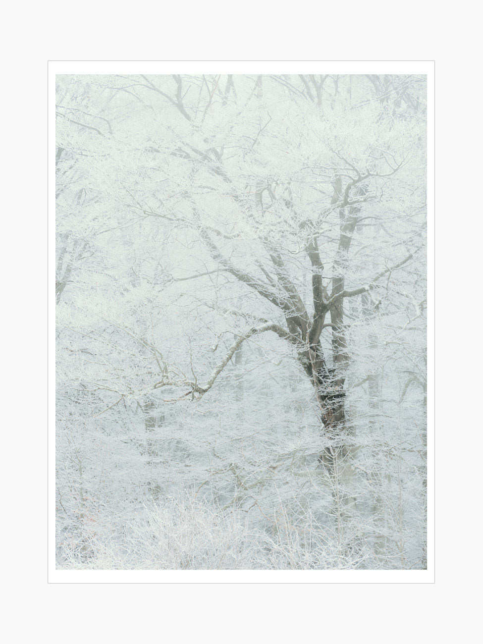 Max Schiefele Alle Bilder  DSF5222